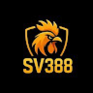 dagasv388biz1