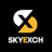 skyinplay