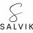 salvikindia1